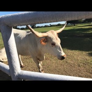 Meet your Posher, Krissy